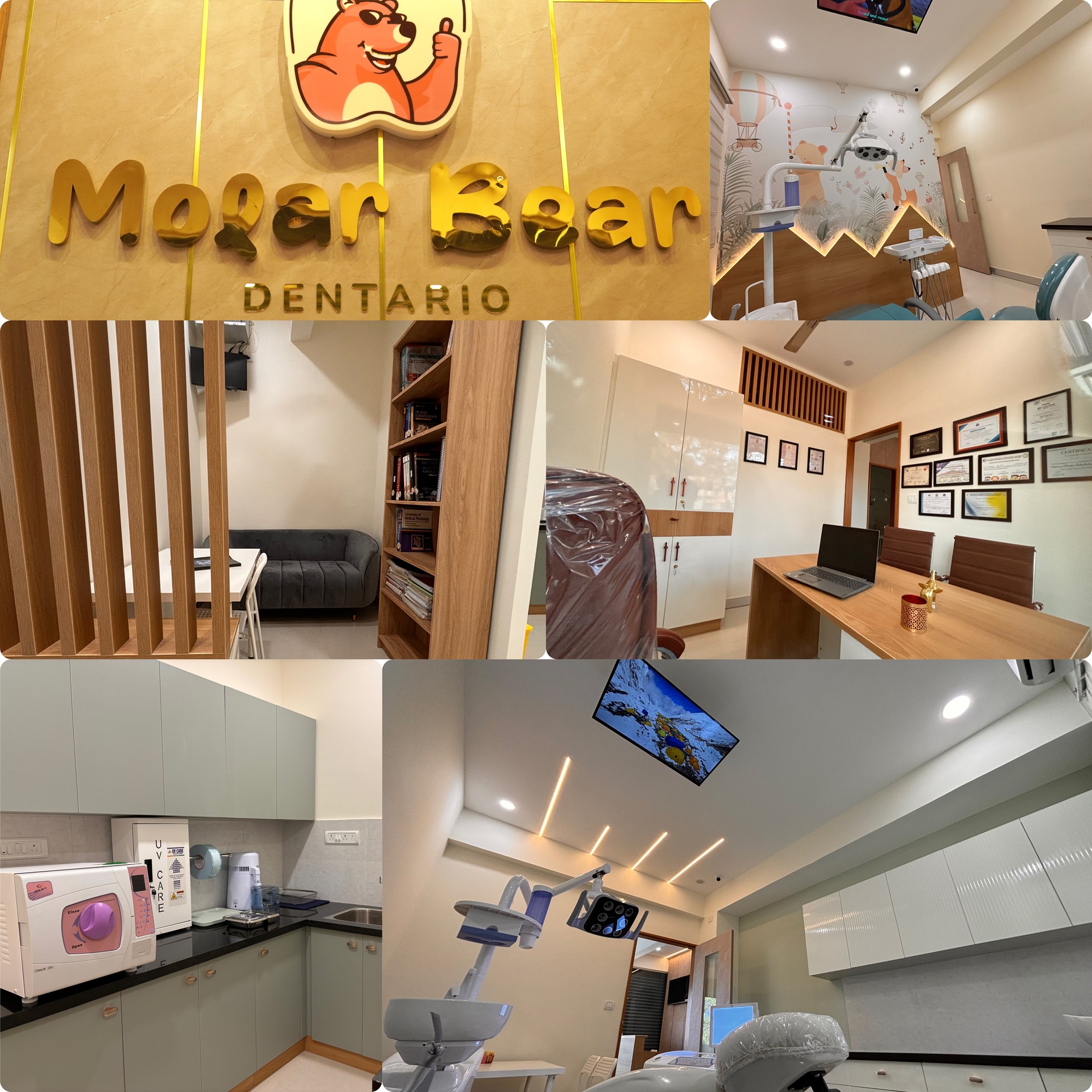 Molar Bear Dentario Clinic in Sarjapur Bangalore